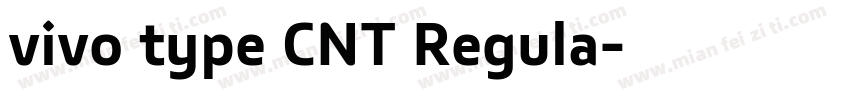 vivo type CNT Regula字体转换